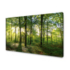Canvas Print Sun Forest Trees Rays of Light 70x50 cm