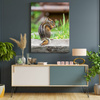 Canvas Print Animals Squirrel 30x40 cm