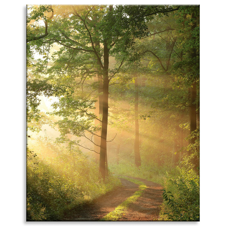 Canvas Print Sunlight Forest Path Nature 80x100 cm
