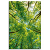 Canvas Print Trees Leaves Nature Forest Spring 80x120 cm