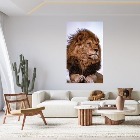 Canvas Print Head Lion Mane Wildness 80x120 cm