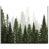 Canvas Print Rain Forest Nature Trees 50x40 cm