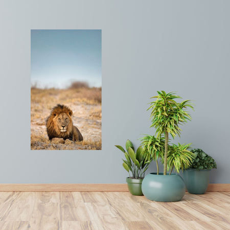 Canvas Print Lion on the Savannah Nature Wildlife 80x120 cm