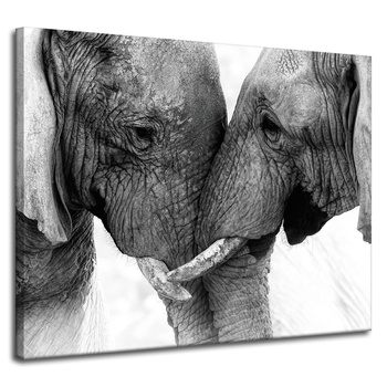 Canvas Print Elephant Close-up Gray Nature 100x80 cm