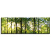 Canvas Print Sun Forest Trees Rays of Light 120x40 cm