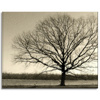 Canvas Print Gloomy Black Tree Sadness 100x80 cm
