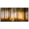 Canvas Print Sun in the Forest Light Tree 80x40 cm