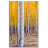 Canvas Print Birch Trees Autumn Yellow Leaves 50x80 cm