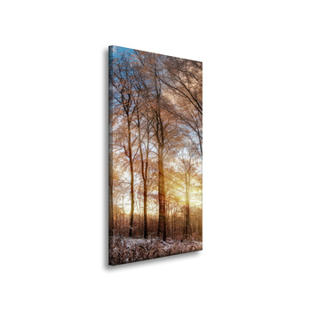 Canvas Print Trees Winter Rising Sun 40x80 cm