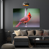 Canvas Print Animals Cardinal Bird 40x30 cm