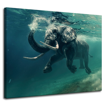 Canvas Print Swimming Elephant in Water Art 100x80 cm
