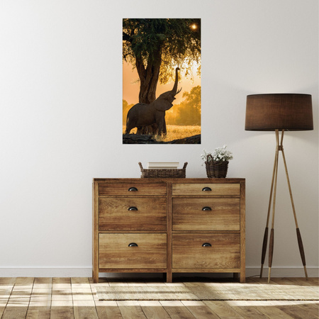 Canvas Print Posing Elephant Savannah Sunset 80x120 cm