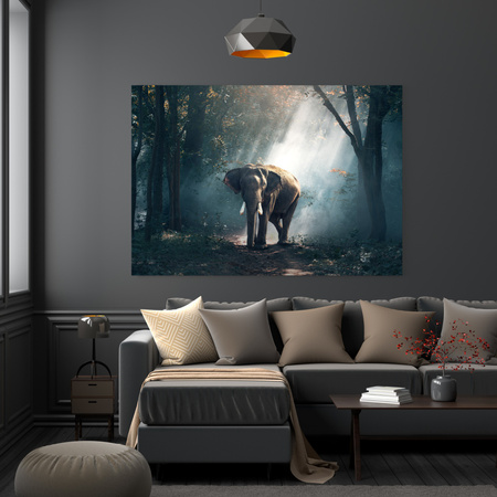 Canvas Print Animals Elephant 40x30 cm
