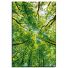 Canvas Print Trees Leaves Nature Forest Spring 40x60 cm