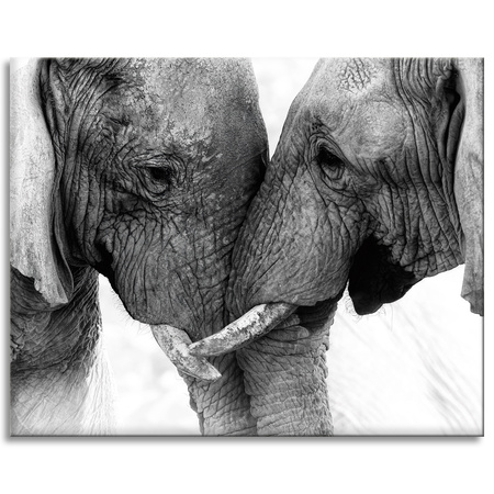 Canvas Print Elephant Close-up Gray Nature 100x80 cm