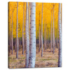 Canvas Print Birch Trees Autumn Yellow Leaves 40x50 cm