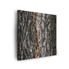 Canvas Print Nature Tree Bark 90x90