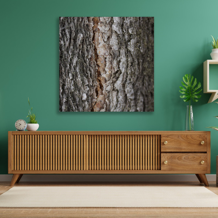 Canvas Print Nature Tree Bark 90x90