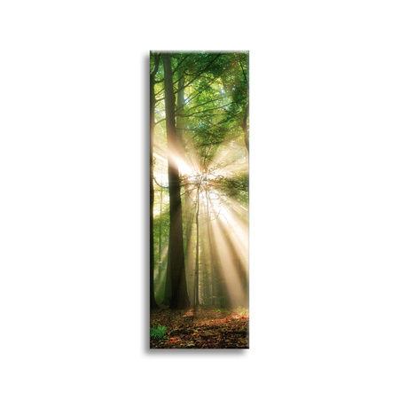 Canvas Print Sun in the Forest Trees Nature 40x120 cm