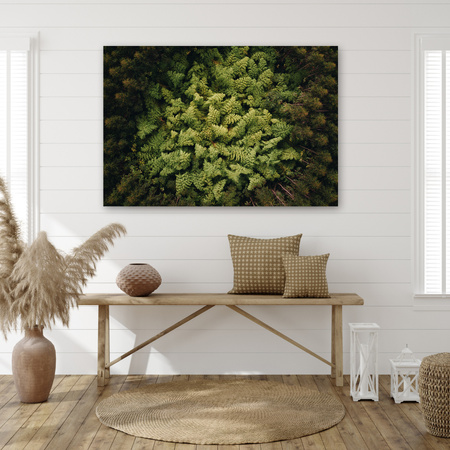 Canvas Print Nature Trees from a Bird's Eye View 70x50