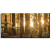 Canvas Print Sun Rays Forest Trees 120x60 cm