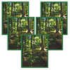 5x Frame Green 40x50, I L13,15,025, Plexiglass