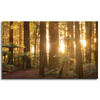 Canvas Print Sun Rays Forest Trees 100x60 cm