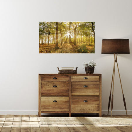 Canvas Print Sun Between Trees in the Forest 90x60 cm