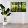 Canvas Print Sun Forest Trees Rays of Light 120x60 cm