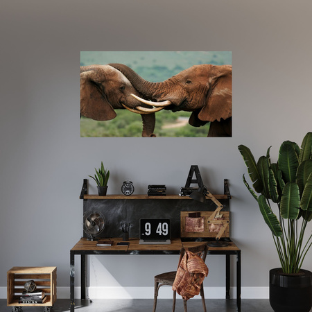 Canvas Print Elephant Couple Close Together Nature Beauty of Nature 100x80 cm