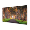 Canvas Print Path Between Trees Nature 120x80 cm