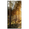 Canvas Print Birch Trees Sun Morning 40x80 cm