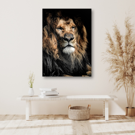 Canvas Print Adult Lion Animal 80x120