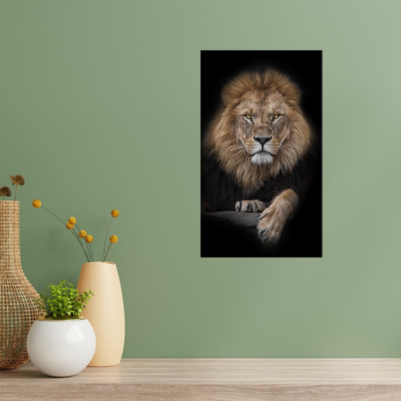 Canvas Print Gray Lion Face Wildness 80x120 cm