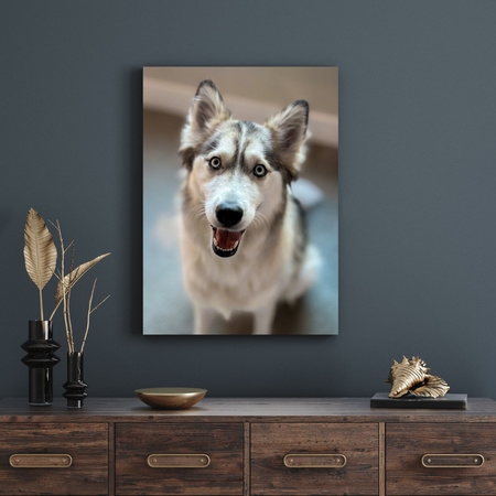 Canvas Print Animals Husky Dog 30x40 cm