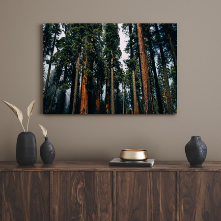Canvas Print Nature Forest 40x30 cm