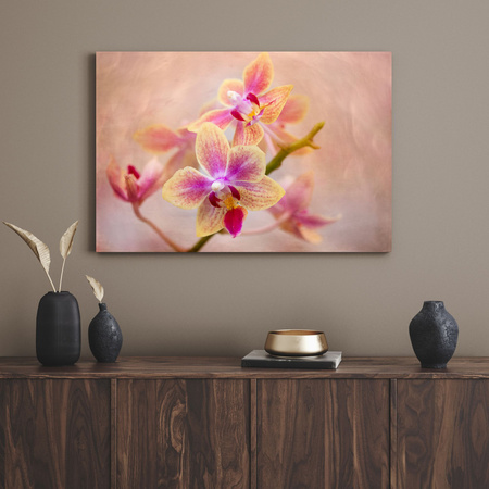 Canvas Print Botany Orchid 40x30 cm