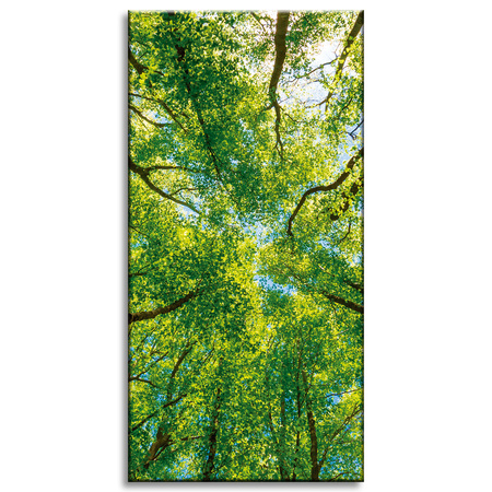 Canvas Print Trees Leaves Nature Forest Spring 60x120 cm