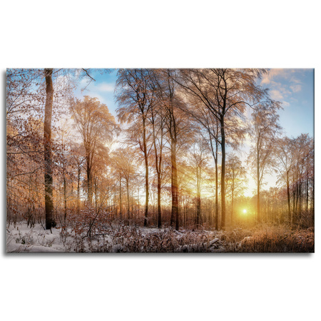 Canvas Print Trees Winter Rising Sun 100x60 cm