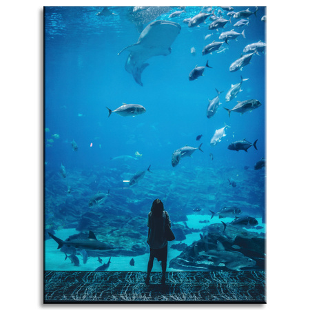 Canvas Print People Aquarium 30x40 cm