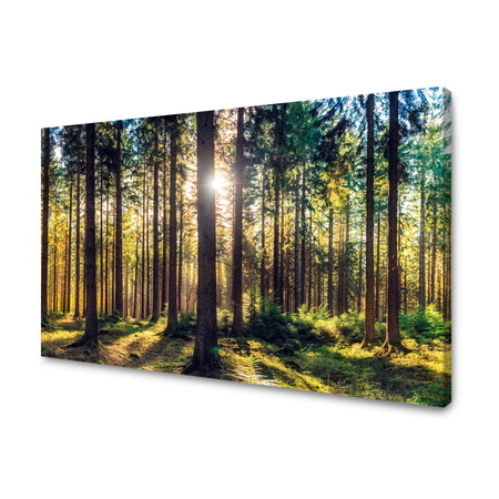 Canvas Print Forest Sun Trees Spring Morning 120x80 cm