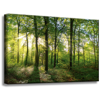 Canvas Print Sun Forest Trees Rays of Light 60x40 cm