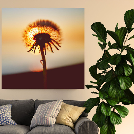 Canvas Print Botany Dandelion 40x40 cm