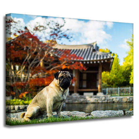 Canvas Print Animals Dog_2 40x30 cm