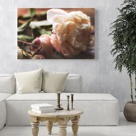 Canvas Print Botany Peony 40x30 cm