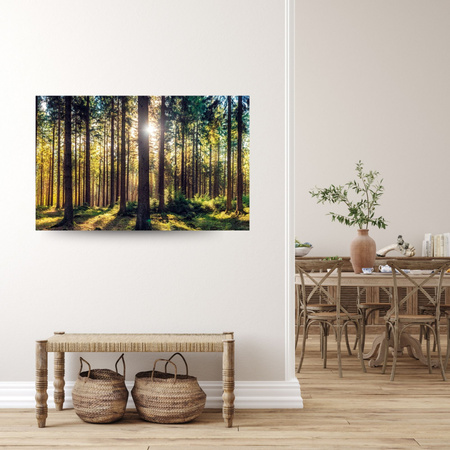 Canvas Print Forest Sun Trees Spring Morning 120x70 cm