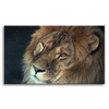 Canvas Print Lion Face and Eyes Wildness 100x80 cm
