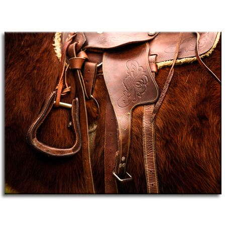 Canvas Print Animals Saddle Horse 40x30 cm
