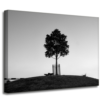 Canvas Print Nature Tree 40x30 cm