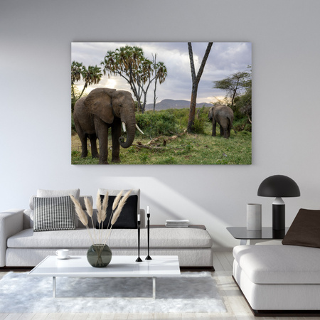 Canvas Print Animals Elephants 40x30 cm